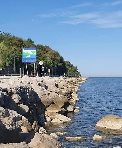 Apartmaji Lana 21 公寓