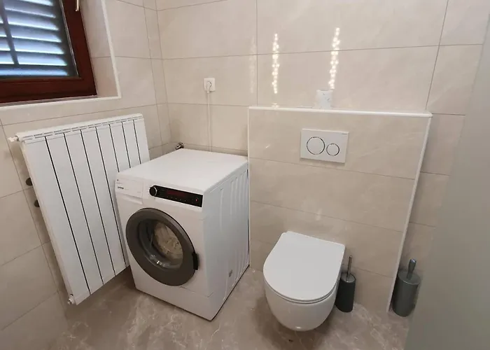 Apartmaji Lana 21 公寓 科佩尔